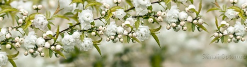 Скинали для кухни:  - изображение 136572