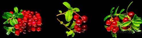 Скинали для кухни:  - изображение 144256