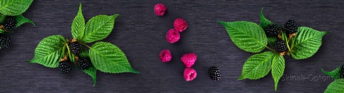 Скинали для кухни:  - изображение 158524