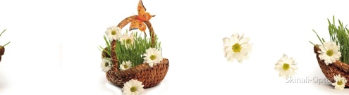 Скинали для кухни:  - изображение 97210