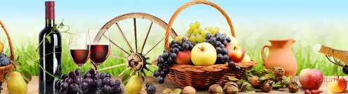 Скинали для кухни:  - изображение 148068