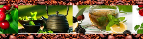 Скинали для кухни:  - изображение 141420