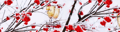 Скинали для кухни:  - изображение 63302