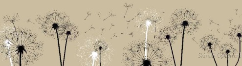 Скинали для кухни:  - изображение 135570