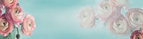 Скинали для кухни:  - изображение 147146