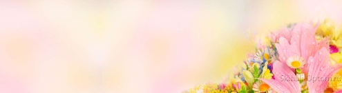 Скинали для кухни:  - изображение 139260