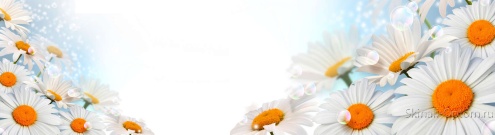 Скинали для кухни:  - изображение 133880