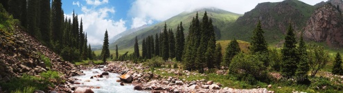 Скинали для кухни:  - изображение 140550