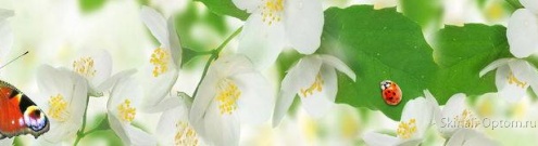 Скинали для кухни:  - изображение 130958