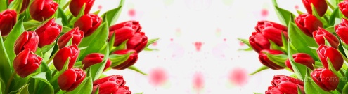 Скинали для кухни:  - изображение 137348