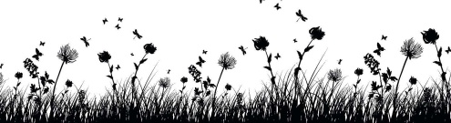 Скинали для кухни:  - изображение 63138