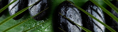 Скинали для кухни:  - изображение 139896