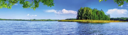Скинали для кухни:  - изображение 136922