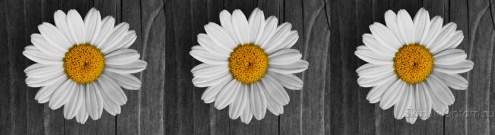 Скинали для кухни:  - изображение 138630