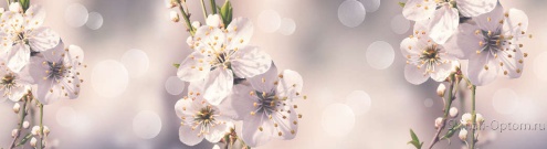 Скинали для кухни:  - изображение 136188