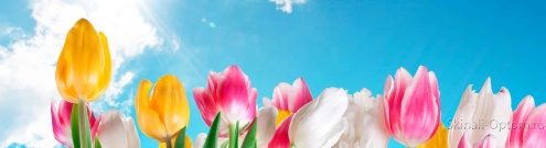 Скинали для кухни:  - изображение 137138