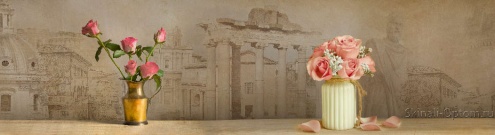 Скинали для кухни:  - изображение 147374