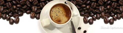 Скинали для кухни:  - изображение 139772