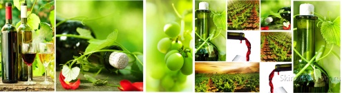 Скинали для кухни:  - изображение 132708