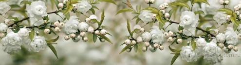 Скинали для кухни:  - изображение 37766