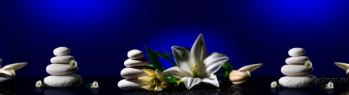 Скинали для кухни:  - изображение 125112