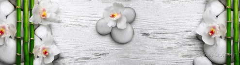 Скинали для кухни:  - изображение 158616