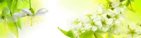 Скинали для кухни:  - изображение 132012