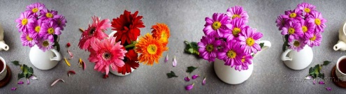 Скинали для кухни:  - изображение 125996