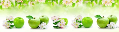 Скинали для кухни:  - изображение 148540