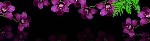 Скинали для кухни:  - изображение 61310