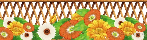 Скинали для кухни:  - изображение 137006