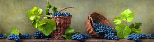 Скинали для кухни:  - изображение 125796
