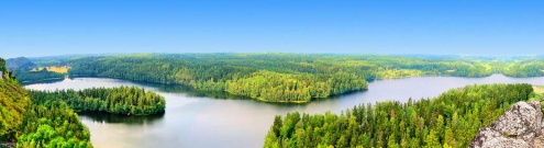 Скинали для кухни:  - изображение 147732