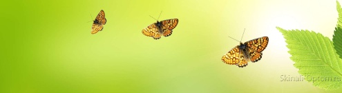 Скинали для кухни:  - изображение 139928