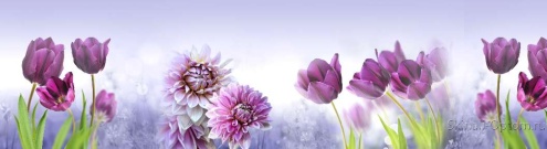 Скинали для кухни:  - изображение 125340