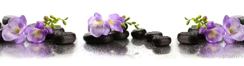 Скинали для кухни:  - изображение 61834