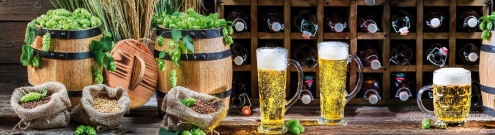 Скинали для кухни:  - изображение 62098