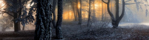 Скинали для кухни:  - изображение 149596