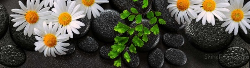 Скинали для кухни:  - изображение 149158