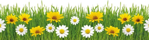 Скинали для кухни:  - изображение 62596