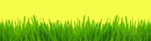 Скинали для кухни:  - изображение 140016